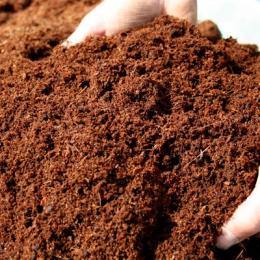 coco coir available ideal for growing etc 
